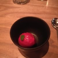 Large vegan set menu #6, first dessert: tasty raspberry icecream at Rutabaga in Stockholm
