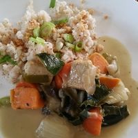 Tofu curry with rice, Qosy Green Ghent at Cosy Green in Ghent