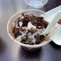   at Cosy Green in Ghent