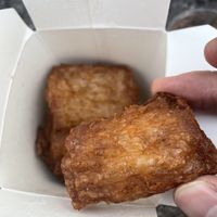   at Cosy Green in Ghent