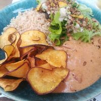 Strogonoff with sweet potato, rice and salad (vegan dish of the day) at The Food for Real in Lisbon