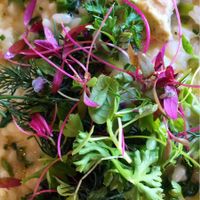 Risotto at Assaggini in Mornington