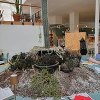 Interior at Knol & Kool Bistro & Superet in Ghent