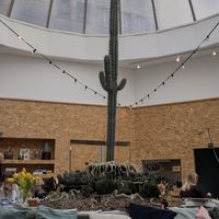  at Knol & Kool Bistro & Superet in Ghent