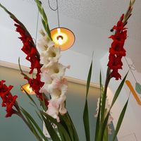  at Knol & Kool Bistro & Superet in Ghent