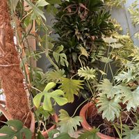   at Knol & Kool Bistro & Superet in Ghent