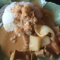 Masaman curry with mock chicken (seitan) at Simply Thai in Oneonta