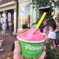 so many vegan flavors!  at Pitango Gelato in Baltimore