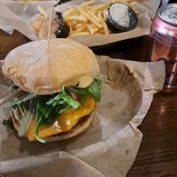 Da Vinci burger. Large fries came with sauces I couldn't have but they had ketchup and hot sauces instead! at Proper Burger Co in Salt Lake City