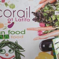  at Le Corail Vegan Food in Essaouira