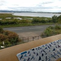 nice view at RSPB Loch Leven Cafe in Kinross