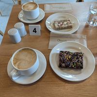  at RSPB Loch Leven Cafe in Kinross