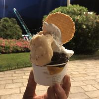 Best icecream ever!  at VanillaBio in Como