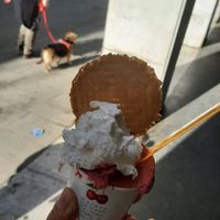  at VanillaBio in Como