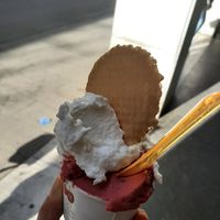  at VanillaBio in Como