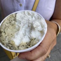   at VanillaBio in Como