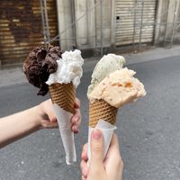   at VanillaBio in Como