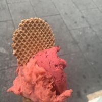 Strawberry and wild berry vegan gelato 🍧   at VanillaBio in Como
