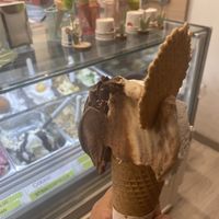   at VanillaBio in Como