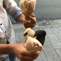 Chocolate was the best at VanillaBio in Como