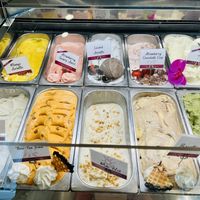 Multiple vegan flavors  at Il Gelato Café - Kahala in Honolulu