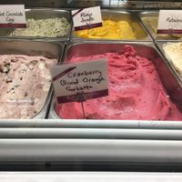 Vegan Gelato flavors - Labeled at Il Gelato Café - Kahala in Honolulu