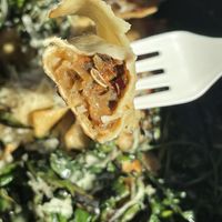 Casoncelli (rolled ravioli) at Donna Jean in San Diego