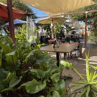 Patio at Donna Jean in San Diego