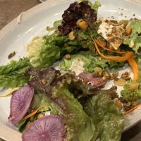 Really good salad   at Donna Jean in San Diego