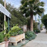   at Donna Jean in San Diego