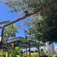   at Donna Jean in San Diego