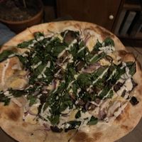 Various mushrooms pizzaa  at Donna Jean in San Diego