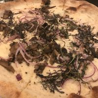 Fungazzi pizza at Donna Jean in San Diego