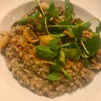 Risotto  at Donna Jean in San Diego