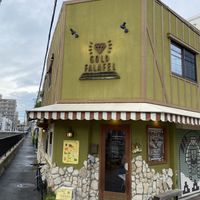   at Gold Falafel in Osaka