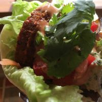 Close up  at Gold Falafel in Osaka