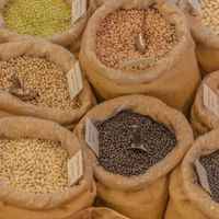 buy in bulk at Grans de la Terra in Barcelona