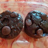 Zucchini Brownies at Fresh Kitchen in St Petersburg