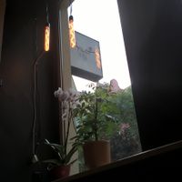 The view from inside at PieRogi Vegan in Wroclaw