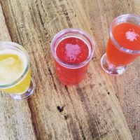 kombucha samplers. at Confluence Kombucha in St Louis