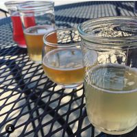 Kombucha flight  at Confluence Kombucha in St Louis