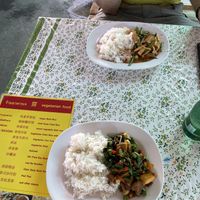 Veg Fried Rice und vegan basil rice  at Vegetarian Food in Chiang Mai