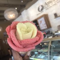 Vegan Ice cream  at Amorino in Playa Del Carmen