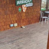 Hello at Africafe at Fife Zoo in Cupar