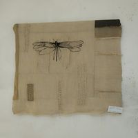 Decoración at La Libelula in Cordoba