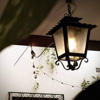 Mágico 💚🌱 at La Libelula in Cordoba