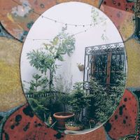 Mágico 💚🌱 at La Libelula in Cordoba