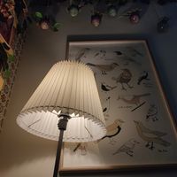  at Mimimi in Granada