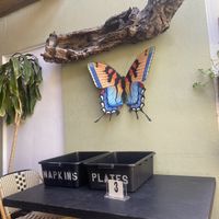 Post-Eating Place Plates, Items in Bins (FYI)  at Green Door Cafe in La Jolla