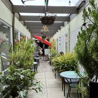   at Green Door Cafe in La Jolla